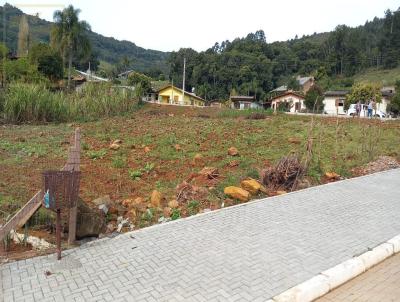 Terreno para Venda, em Santa Maria do Herval, bairro Amizade