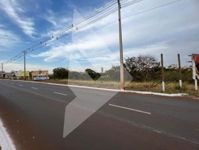 Terreno Comercial para Venda, em Rio Verde, bairro Centro