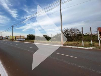 Terreno Comercial para Locao, em Rio Verde, bairro Centro