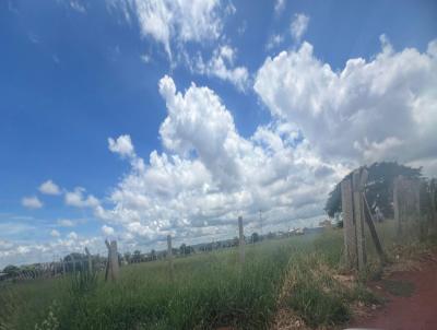 Terreno Comercial para Locao, em Rio Verde, bairro Dimpe