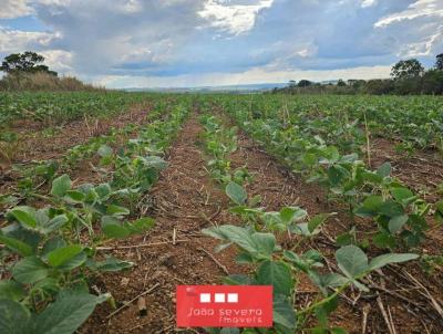 Fazenda para Venda, em Braslia, bairro Parano, 3 dormitrios, 2 banheiros