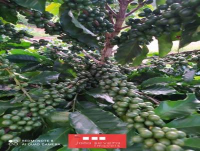 Fazenda para Venda, em Guap, bairro 