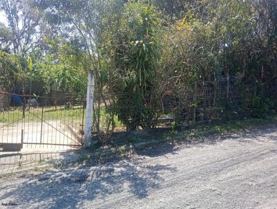 Terreno para Venda, em Florianpolis, bairro So Joo do Rio Vermelho