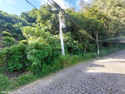 Terreno para Venda, em Terespolis, bairro Pimenteiras