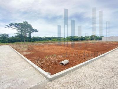 Terreno para Venda, em Frederico Westphalen, bairro Jardim Primavera