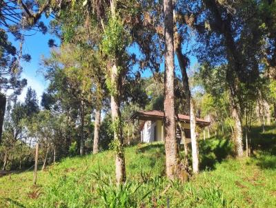 Chcara para Venda, em Tijucas do Sul, bairro Crrego das Pedras, 3 dormitrios, 1 banheiro, 1 vaga