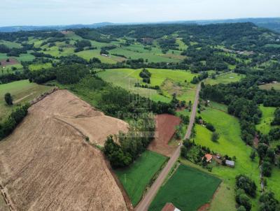 rea Rural para Venda, em Porto Mau, bairro So Jos do Mau