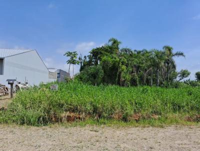 Terreno para Venda, em Barra Velha, bairro QUINTA DOS AORIANOS