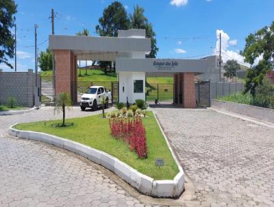 Terreno para Venda, em Lavrinhas, bairro Cavinas