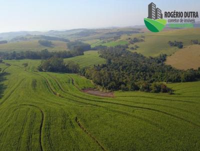 Fazenda para Venda, em Londrina, bairro Rural