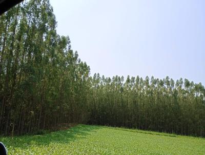 Chcara para Venda, em Iretama, bairro rea Rural