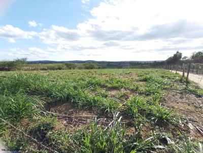 rea Rural para Venda, em Maracs, bairro Zona Rural