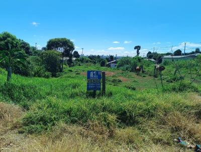 Terreno para Venda, em Guarapuava, bairro Jardim das Americas