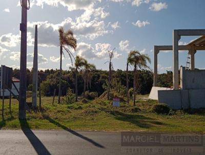 Apartamento para Venda, em Passo de Torres, bairro Barra Velha