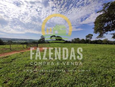 Fazenda para Venda, em Morrinhos, bairro Zona Rural