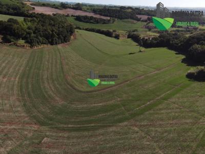 Fazenda para Venda, em Sertanpolis, bairro ZONA RURAL