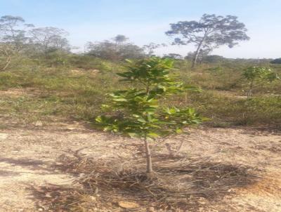 Terreno para Venda, em Sabar, bairro Cana