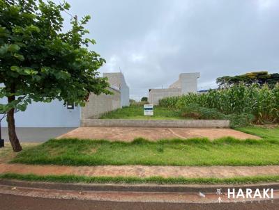 Terreno para Venda, em Maring, bairro Jardim Barcelona