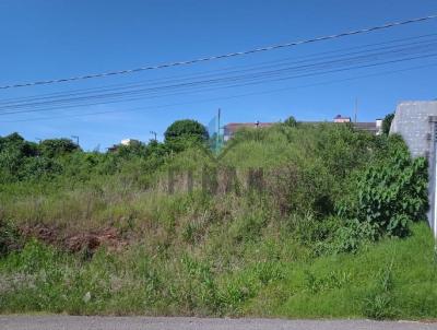 Terreno para Venda, em , bairro Santo Antonio