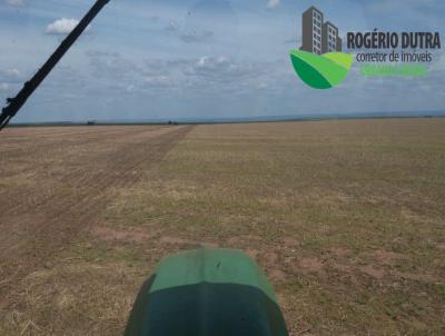 Fazenda para Venda, em Bom Jesus, bairro ZONA RURAL