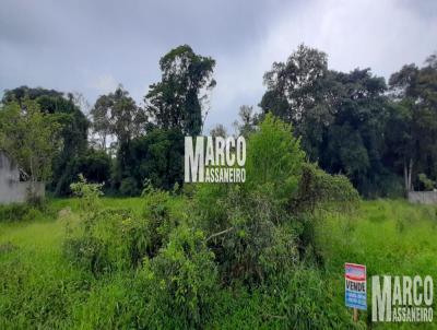 Terreno para Venda, em Balnerio Barra do Sul, bairro Costeira