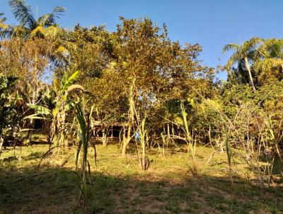 Chcara para Venda, em Mogi das Cruzes, bairro Vila Moraes, 1 dormitrio, 1 banheiro