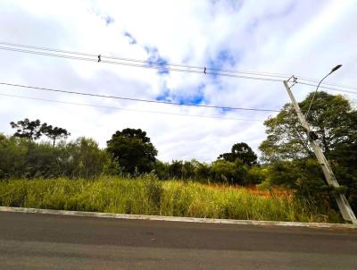 Terreno para Venda, em Caador, bairro Berger