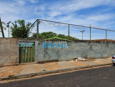 Terreno Urbano para Venda, em Pitangueiras, bairro Centro