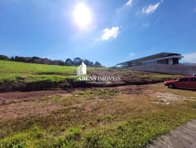 Terreno para Venda, em Pinhais, bairro Jardim Amlia