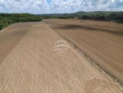 Fazenda para Venda, em Curvelo, bairro ZONA RURAL