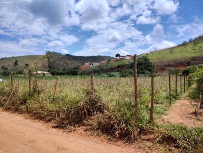 Chcara para Venda, em Joo Monlevade, bairro Jorge