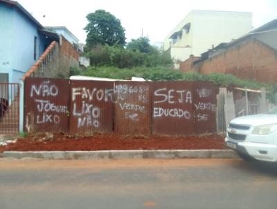 imagem-miniatura