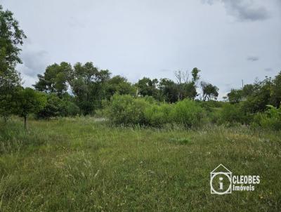 Stio / Chcara para Venda, em Encruzilhada do Sul, bairro Interior