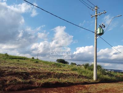 Terreno para Venda, em Santa Rosa, bairro Colina