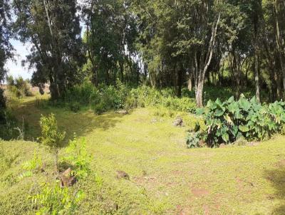 Stio para Venda, em Marechal Cndido Rondon, bairro LINHA PALMITAL.