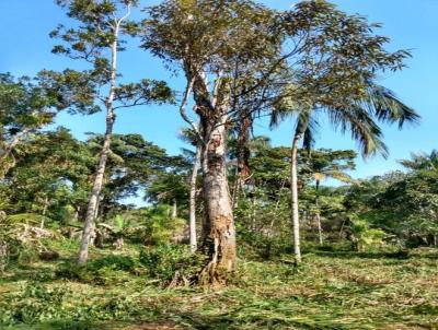 Terreno para Venda, em Itanham, bairro Gaivota