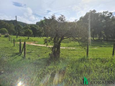 Fazenda para Venda, em Bocaiva do Sul, bairro Barra Da Cruz