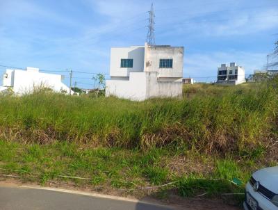 imagem-miniatura
