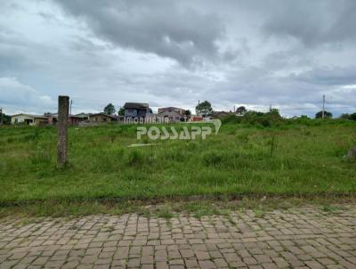 Terreno para Venda, em Vacaria, bairro Imperial