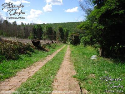 Stio para Venda, em Bragana Paulista, bairro Zona Rural