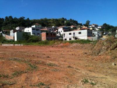 Lote para Venda, em Barbacena, bairro Santo Antnio