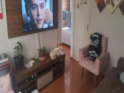 Apartamento para Venda, em Limeira, bairro Jardim Olga Veroni, 2 dormitórios, 1 banheiro