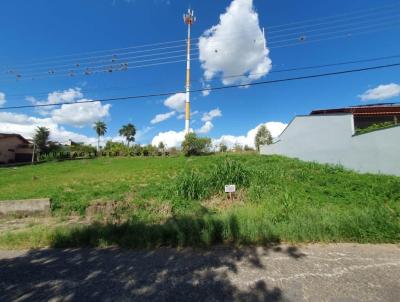 Terreno para Venda, em So Jos do Rio Pardo, bairro Alto Santa Tereza