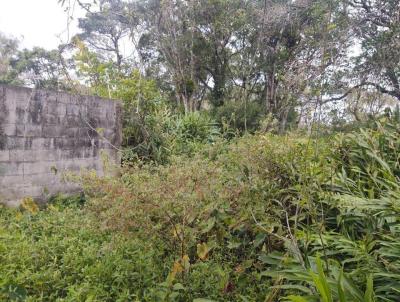 Terreno para Venda, em Itanham, bairro Luiza Mar Mirim