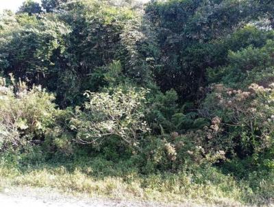 Terreno para Venda, em Itanham, bairro So Fernando