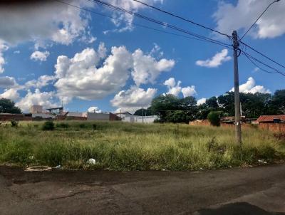 Terreno para Venda, em Bauru, bairro Jardim Marlia