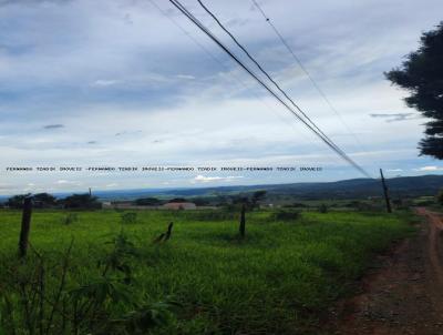 Lote para Venda, em Pedro Leopoldo, bairro MOCAMBEIRO