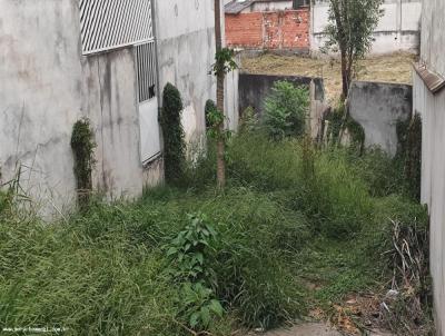 Terreno para Venda, em , bairro Cesar de Souza