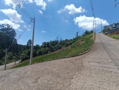 Terreno para Venda, em Concrdia, bairro Santa Cruz