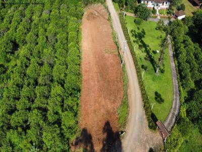 rea para Venda, em Marat, bairro Centro